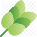 Cereals Grains Crops Icon