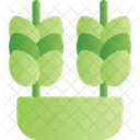 Cereals Grains Crops Icon