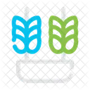Cereals Grains Crops Icon