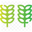 Cereals Grains Crops Icon