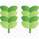 Cereals Grains Crops Icon