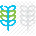 Cereals Grains Crops Icon