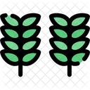 Cereals Grains Crops Icon