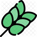Cereals Grains Crops Icon