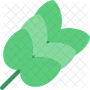 Cereals Grains Crops Icon
