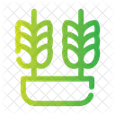 Cereals Grains Crops Icon