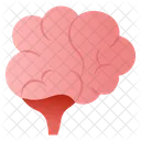 Cerebelo  Icono