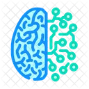 Cerebro Circuitos Neurociencia Ícone