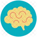 Cerebro Atividade Neurologia Icon