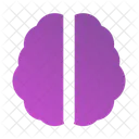 Cerebro Icon