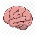 Cerebro Mente Ideia Icon