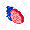 Rapido Pensar Cerebro Icon