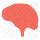 Cerebro  Icono