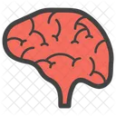 Cerebro  Icono