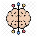 Cerebro Humano Mente Cerebro Icon