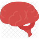 Cerebro  Icono