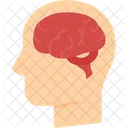 Cerebro  Icono