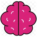 Cerebro  Icono