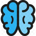 Cerebro  Icono