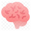 Cerebro  Icono