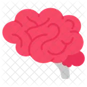 Cerebro  Icono