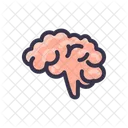 Cerebro Neurociencia Brainstorming Ícone