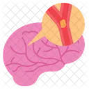 Cerebrovascular  Icon