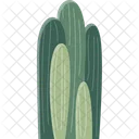 Cereus Cactus Succulent Icon