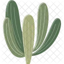 Cereus  Ícone