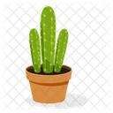 Cereus Jamacaru  Icon