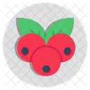 Cereza Fruta Baya De Cereza Icon