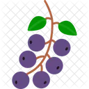 Cerezas  Icon