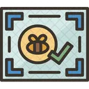 Certificate Honey Quality Icon