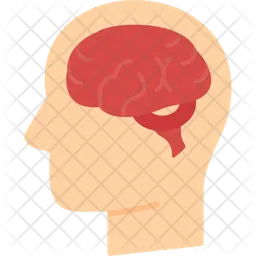 Cerveau  Icône