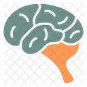 Cerveau Anatomie Medecine Icône