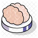 Cerveau  Icône