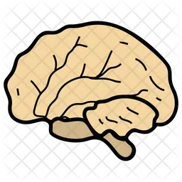 Cerveau  Icône