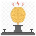 Cerveau Circuit Court Circuit Icon