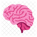 Cerveau  Icône