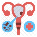 Cervicalcancer  Icon