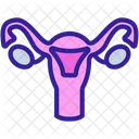 Cervix Sexual Organ Icon
