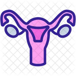 Cervix  Icon