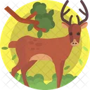 Natureza Veado Animal Icon