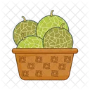 Cantalupo Icon