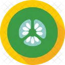 Cetriolo  Icon