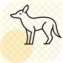 Chacal Icône