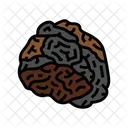 Chaga Mushroom  Icon