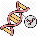 Chain Dna Genetics Icon
