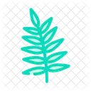 Chamaedorea Leaf Tropical Tree Palm Icon