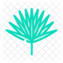 Chamaerops Leaf Tropical Tree Palm Icon
